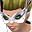 Demon valkyrie icon.png